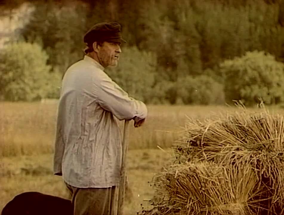 Тени исчезают в полдень (1971, 1973).7 серий.