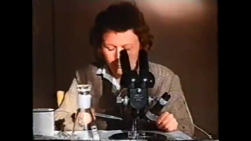 Киножурнал "Хочу все знать!"
