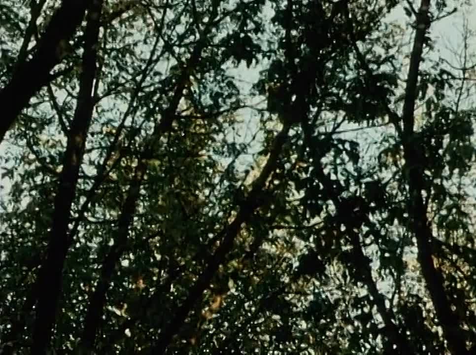Хождение по мукам. 13 cерий.