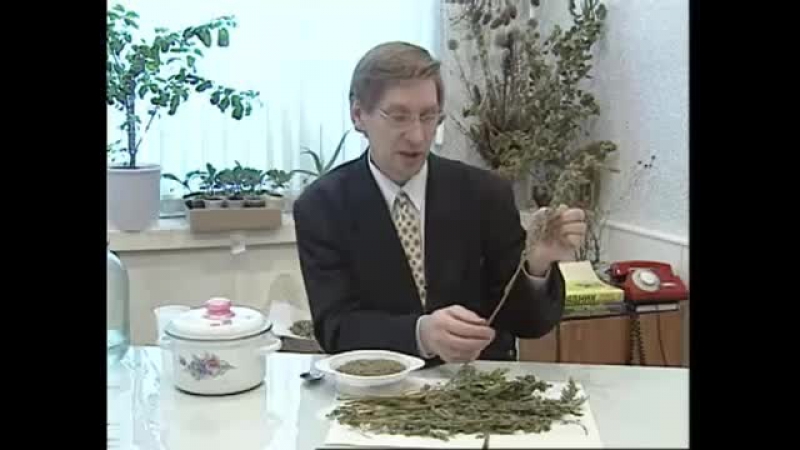 Зеленая аптека