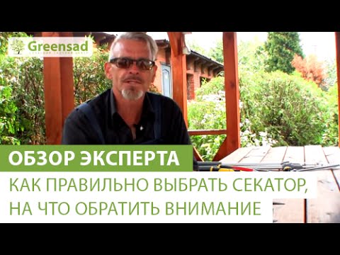 Секреты эффективного выращивания клубники