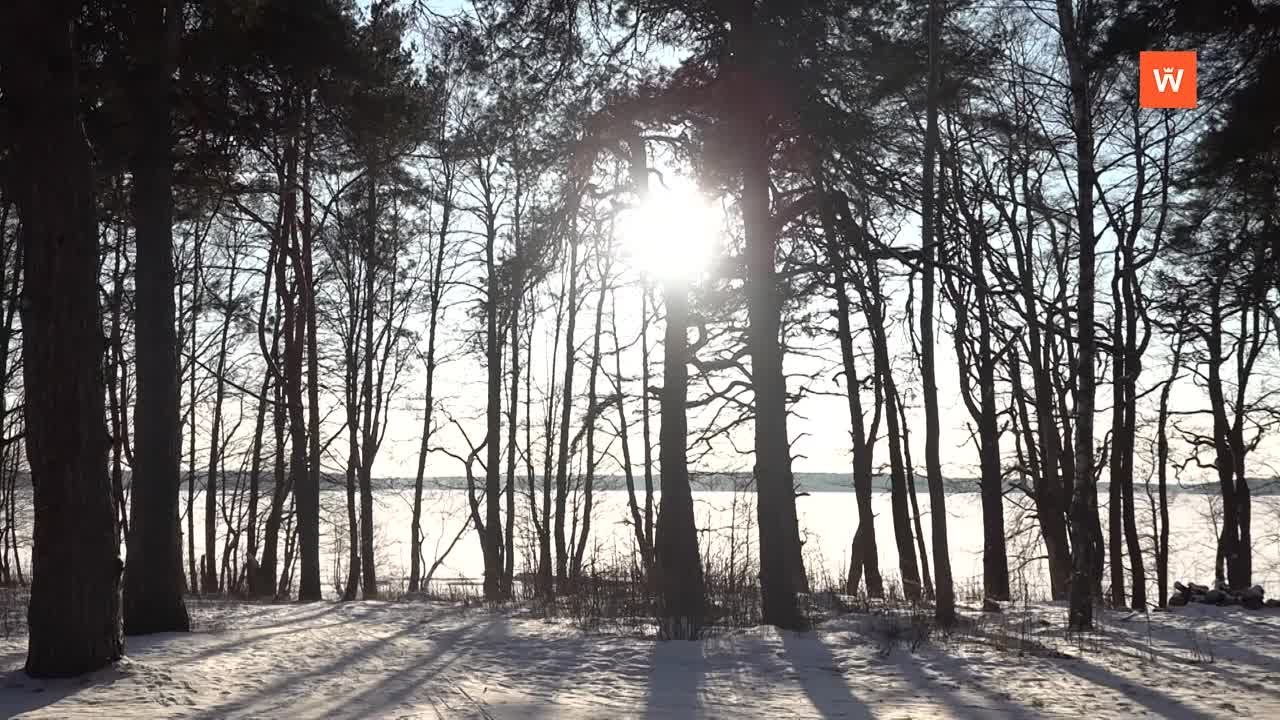 Зарисовки