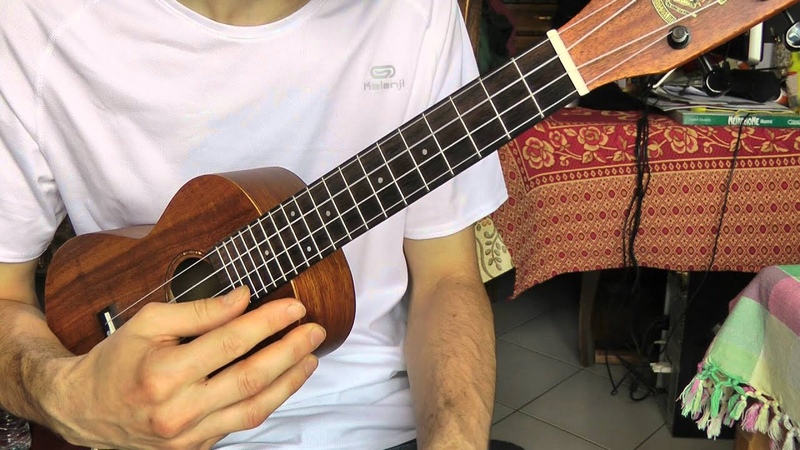 La Grive Musicienne