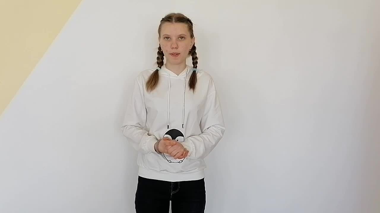 Предвыборная программа - Лидеры 2021