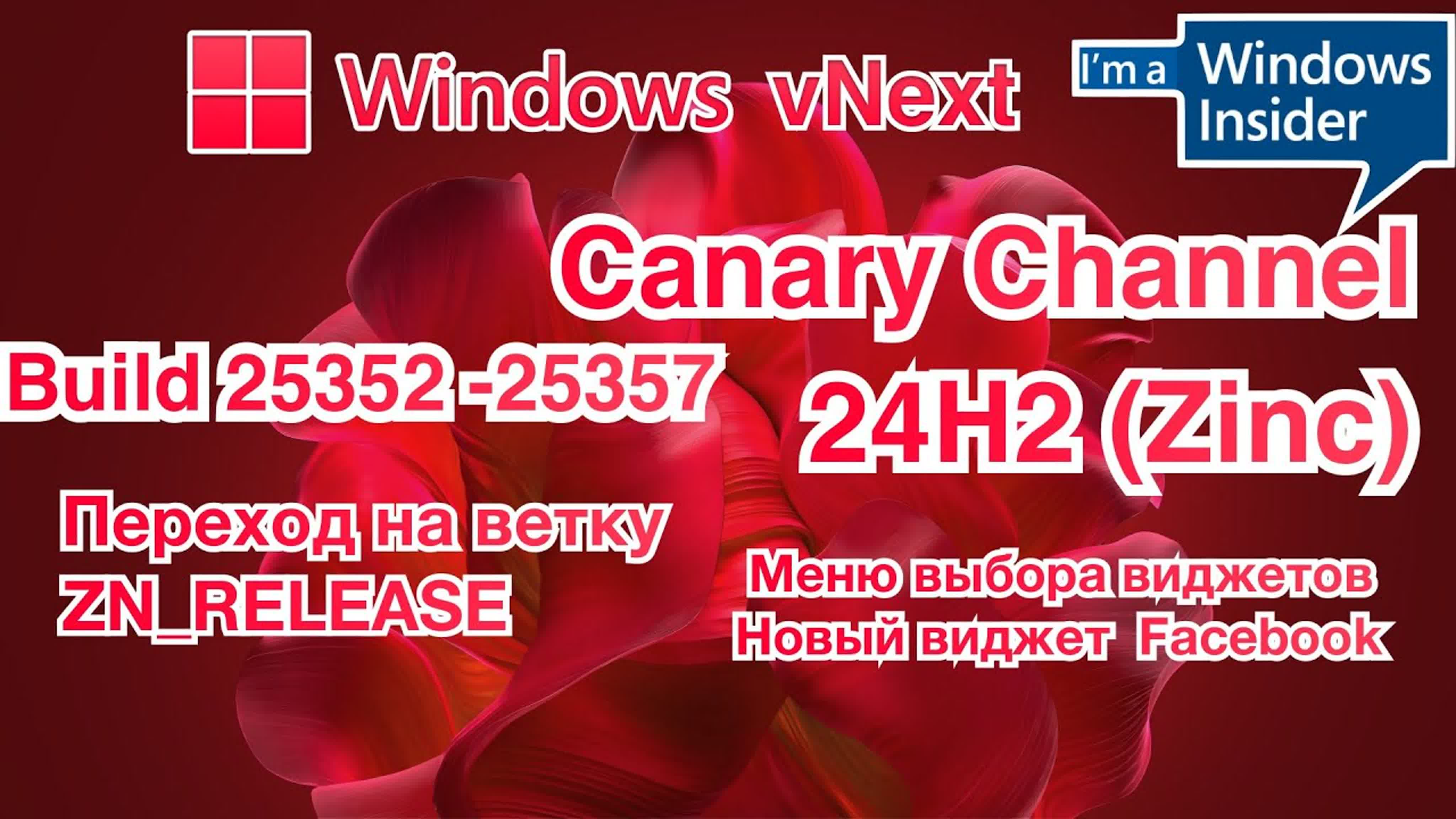 Windows insider (Canary)