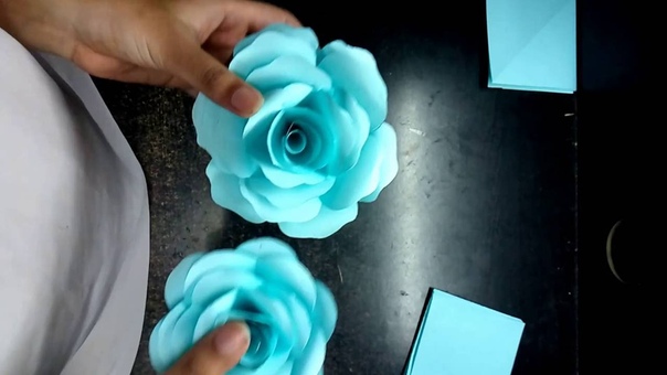 paper roses . Бумажные розы