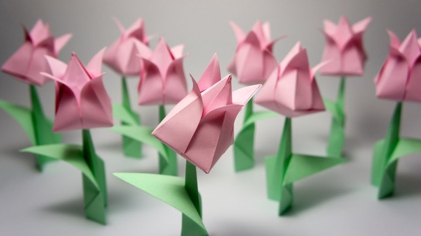 Origami Tulip Оригами Тюльпан