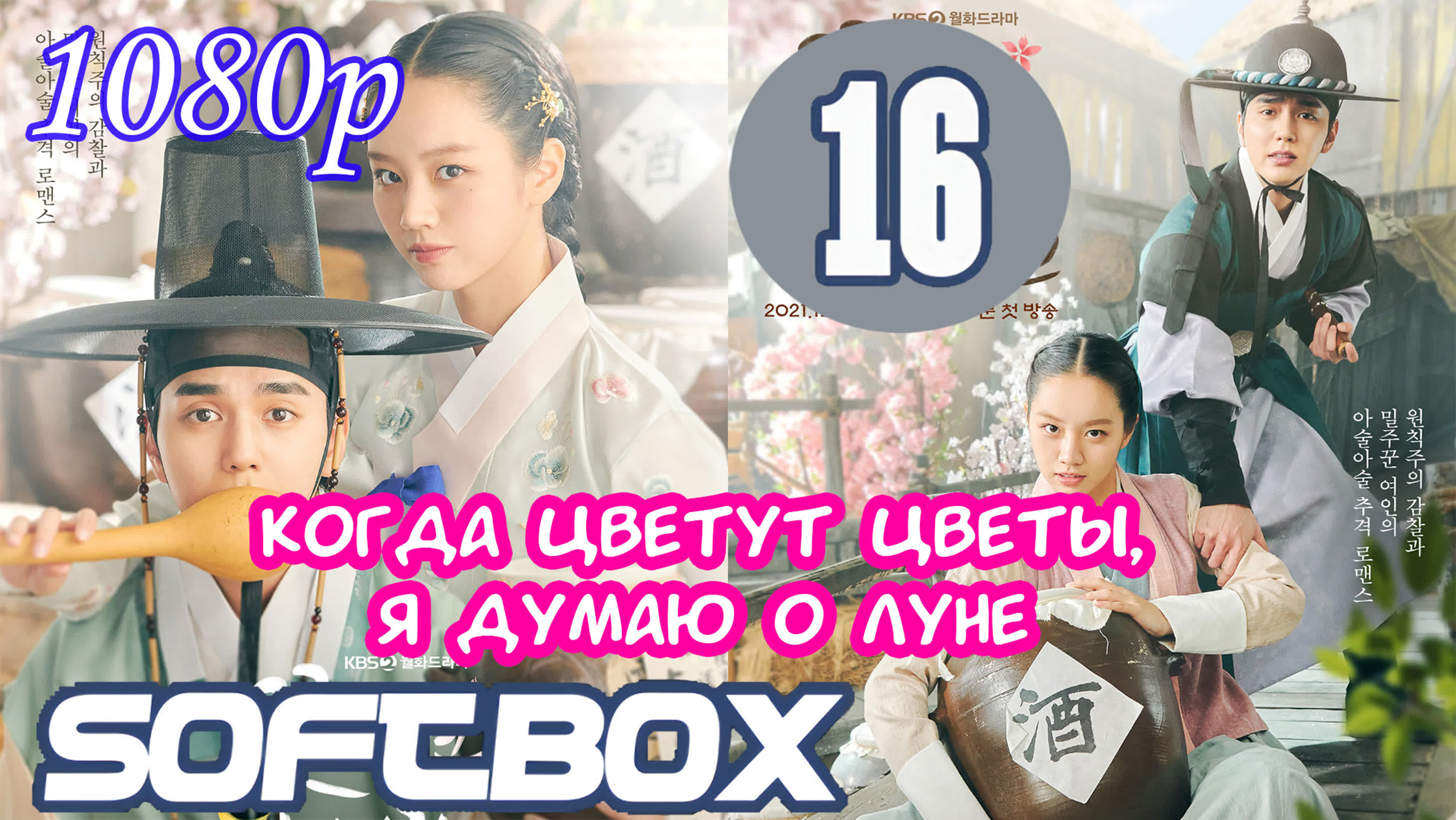 🙋‍♂️ Когда цветут цветы. 16
