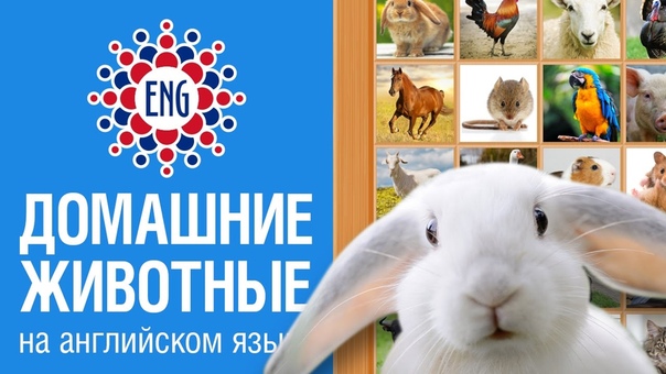 Английский для детей