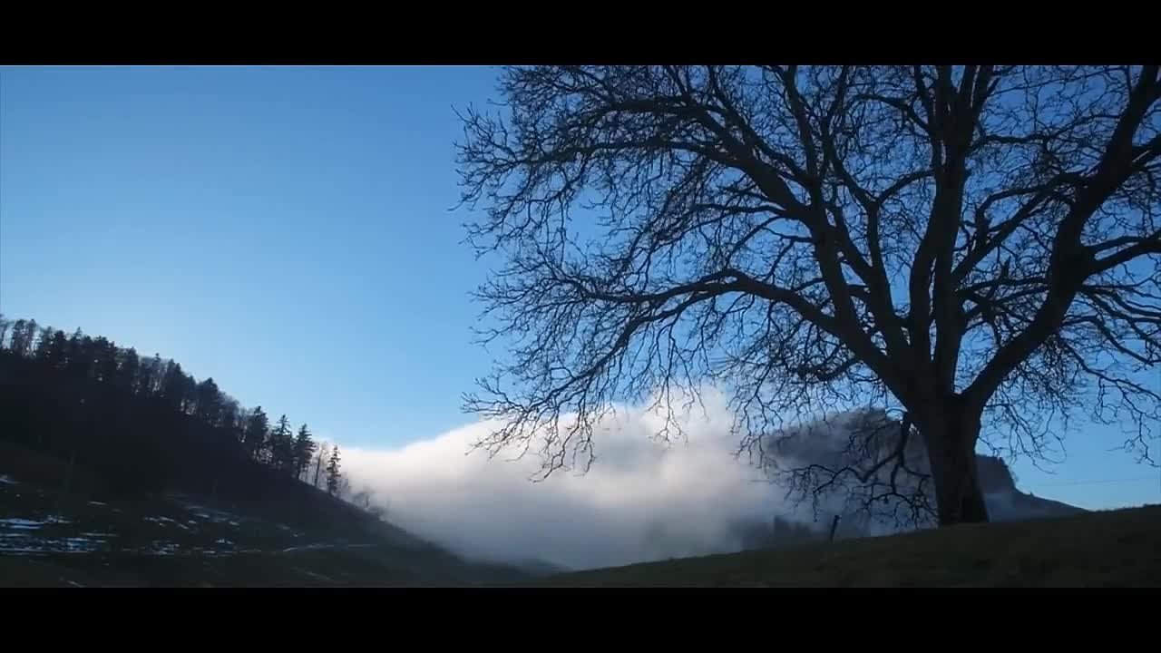 Александр Шепс Стихи
