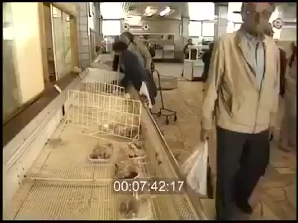 Совок