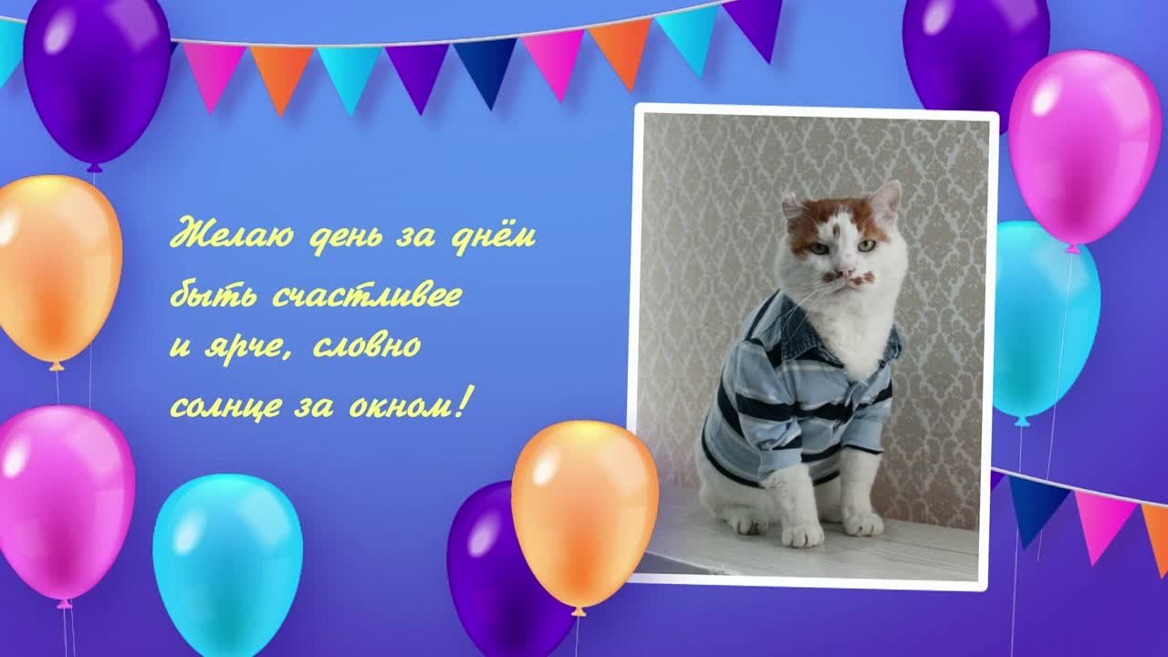 Очаровательный Пух