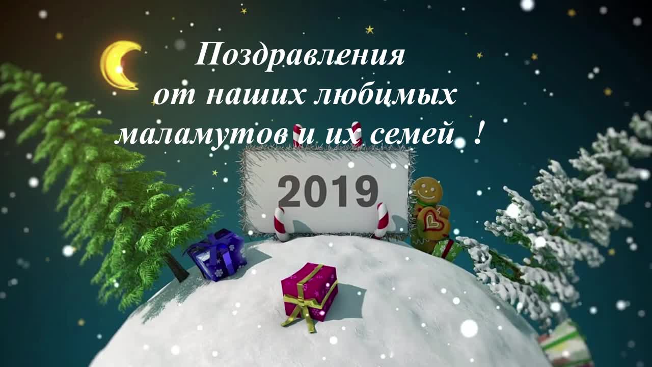 Маламуты