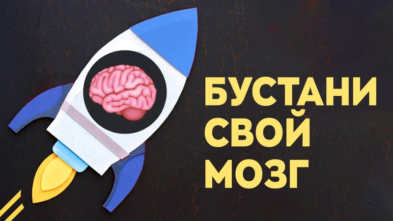 интеллект