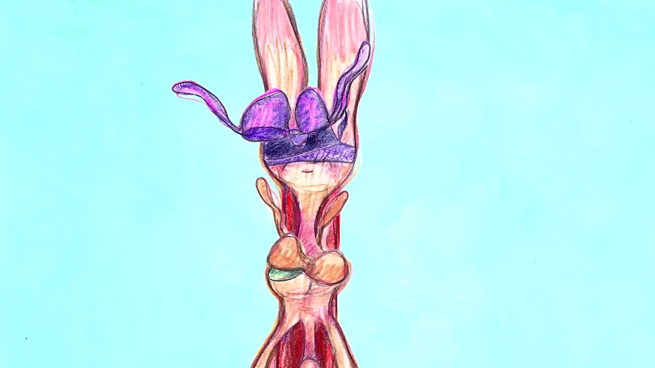 Билл Плимптон / Bill Plympton 🇺🇸