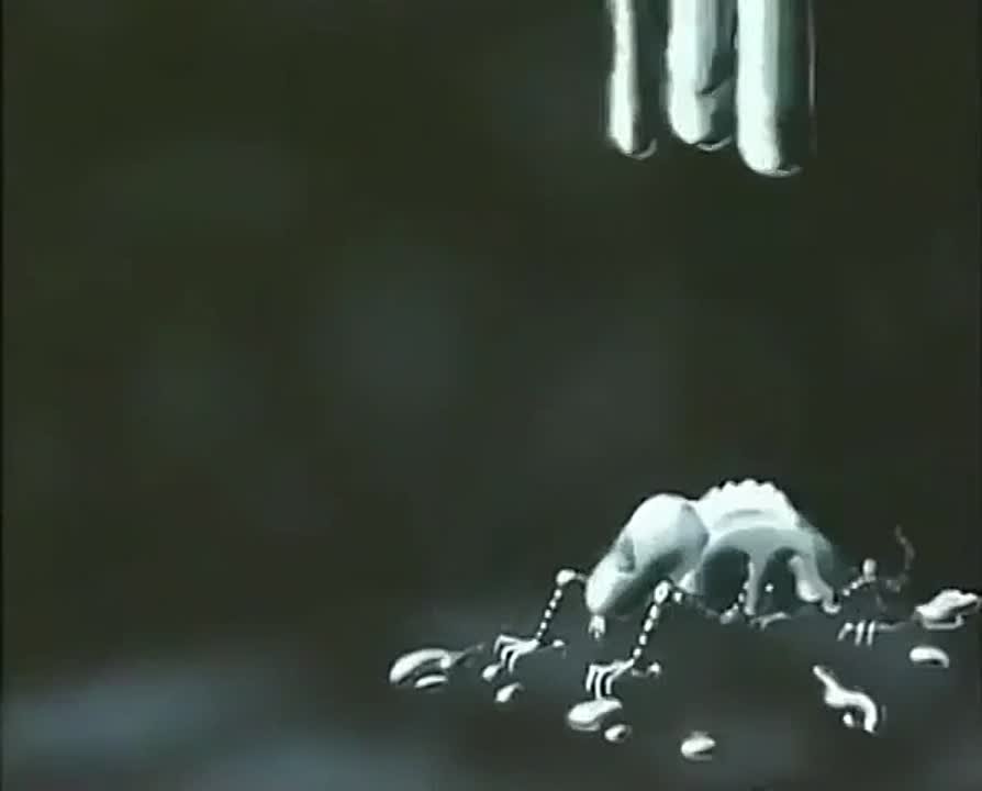 Украина / Ukraine 🇺🇦