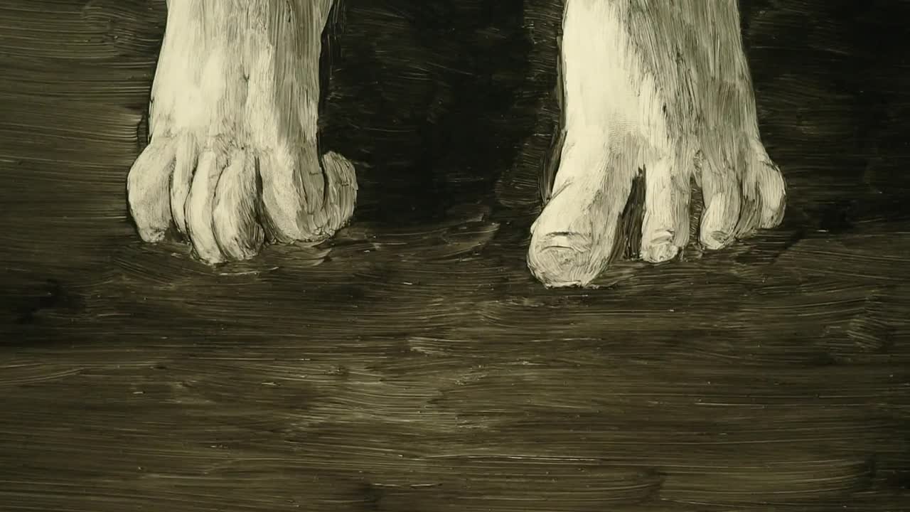 Саори Сироки / Saori Shiroki 🇯🇵