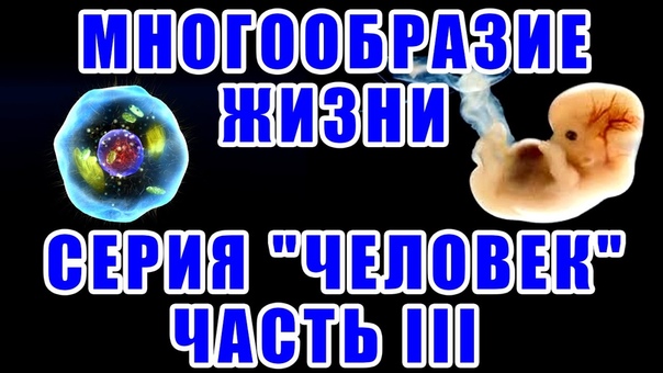 Мироустройство.