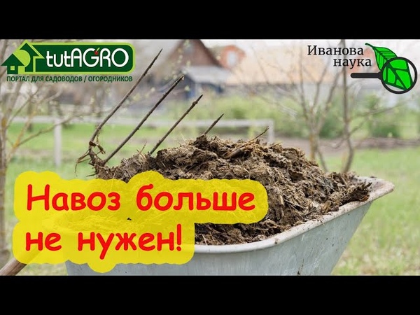 сад