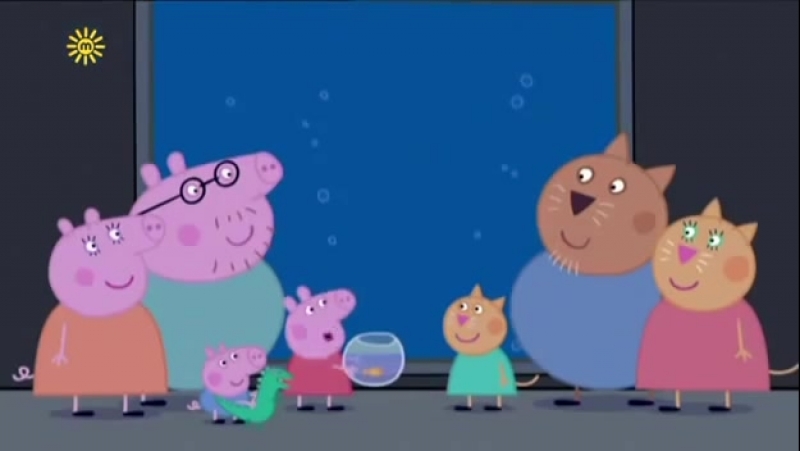 Sea animals