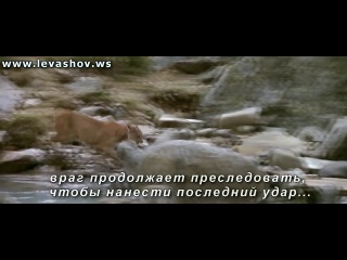 Мотивация