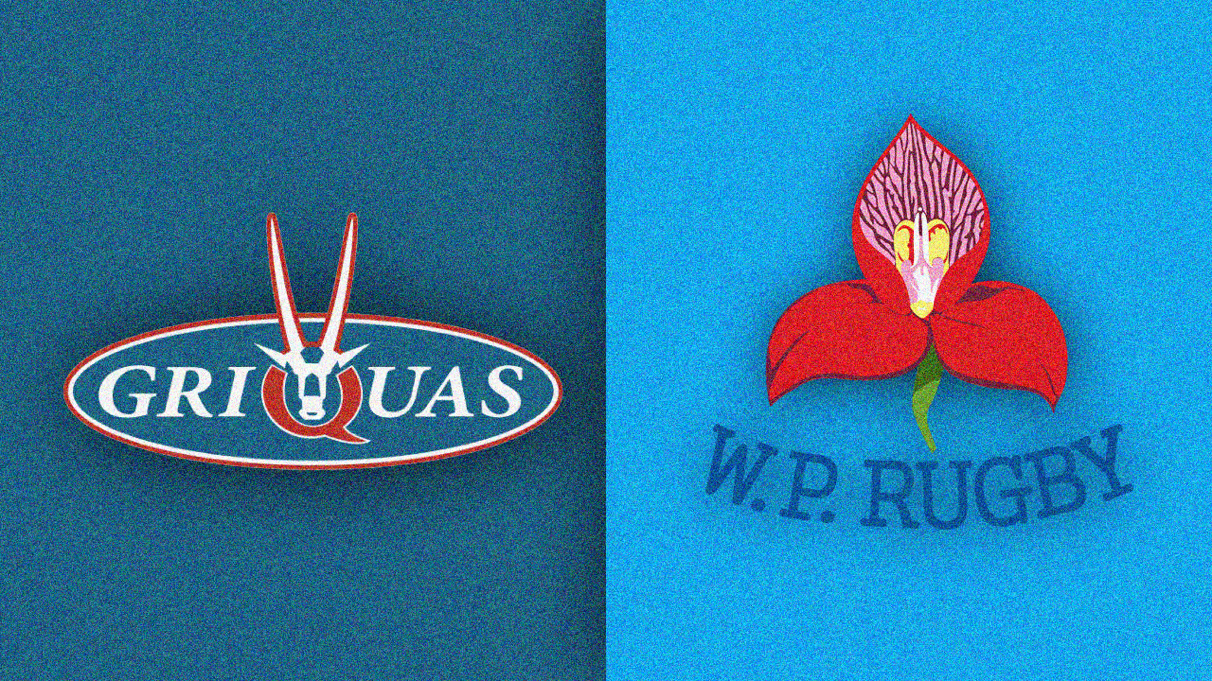 Кубок Карри  (Currie Cup)