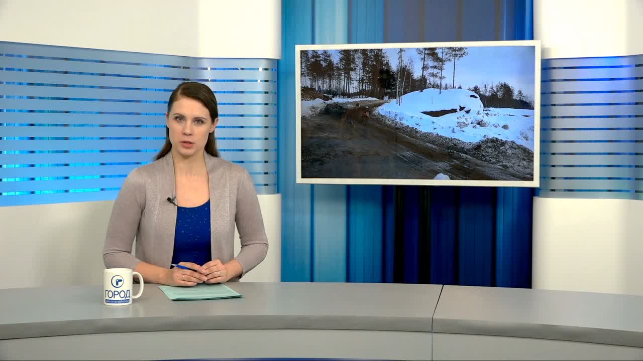 09.02.19 г. PARGOLOVO CROSS. Кубок им. Г.А.Моисеева по мотокроссу.