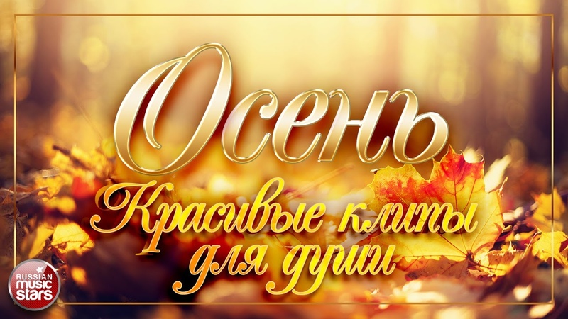 Клипы
