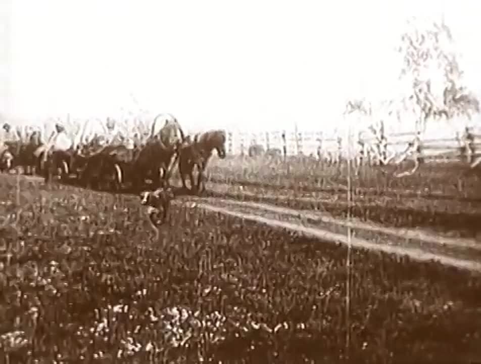 ВОВ