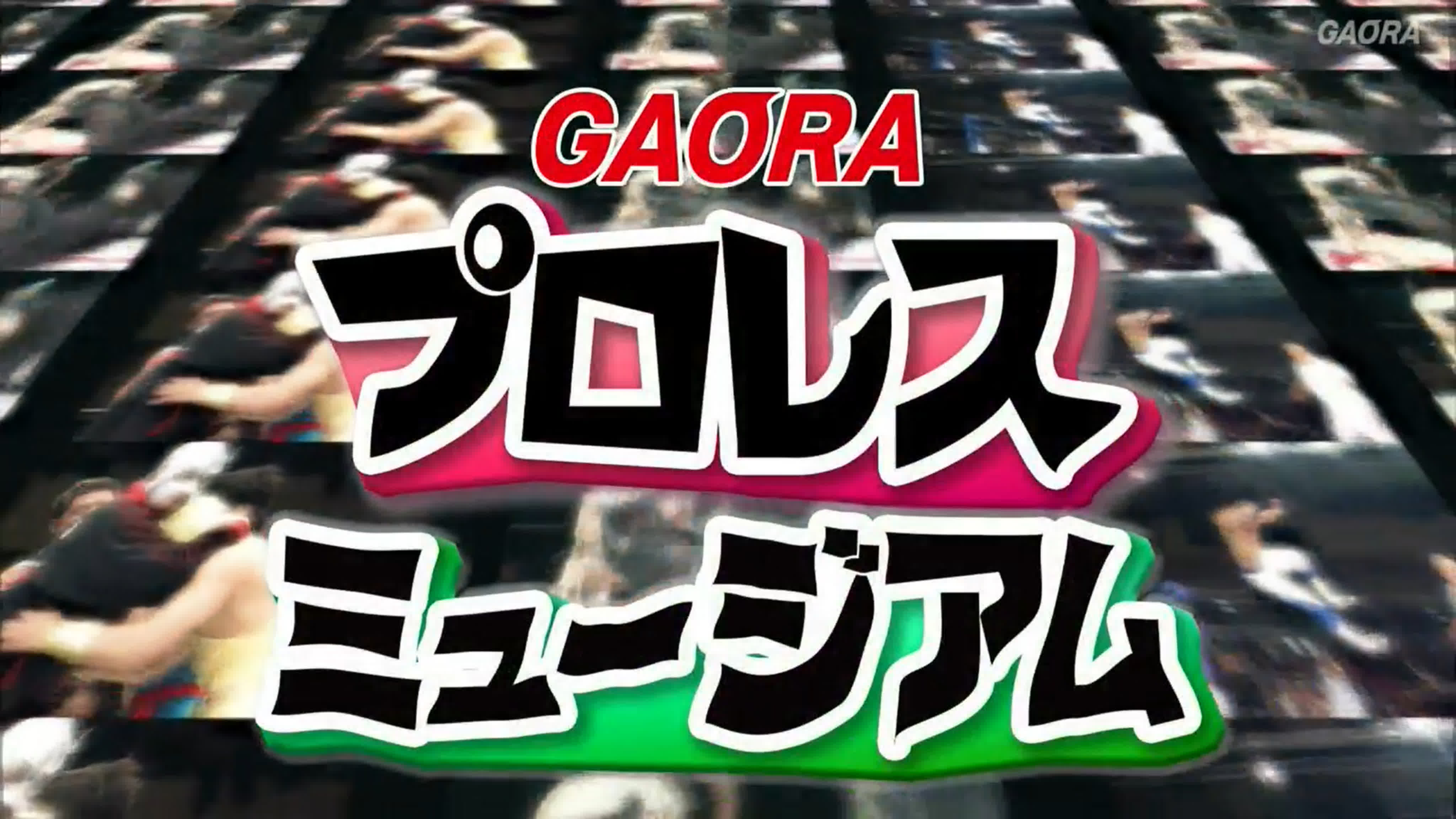 GAORA Puroresu Museum