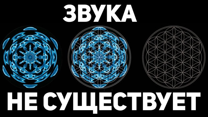 наука