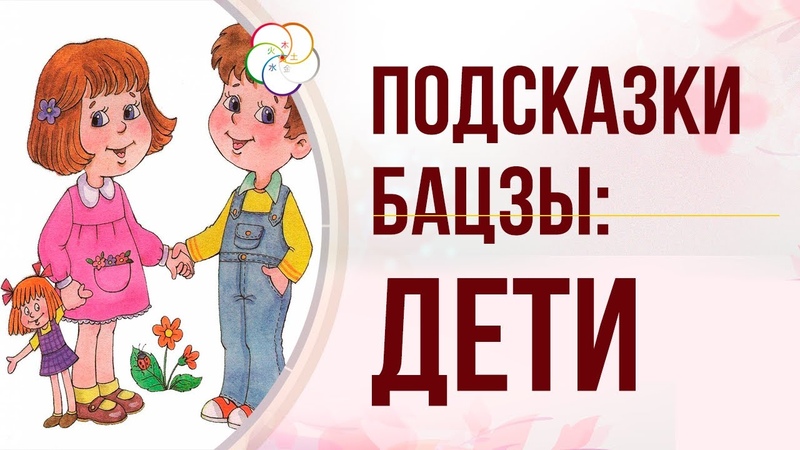 ПОДСКАЗКИ БАЦЗЫ