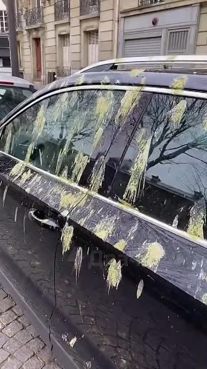 Приколы