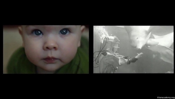 Современная теория информации