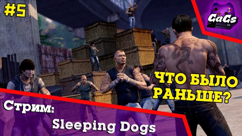 Sleeping Dogs