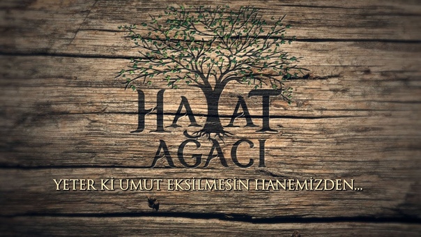 › Hayat ağacı \ Дерево жизни ›› Проект