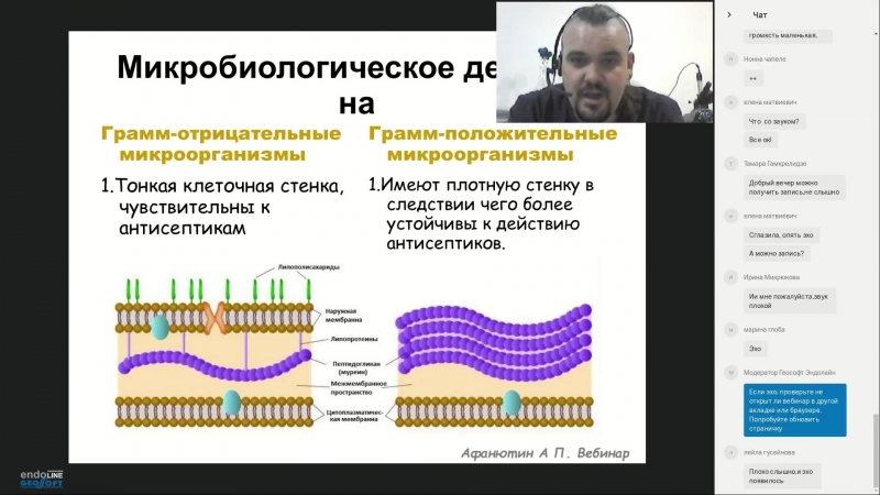 Эндодонтия