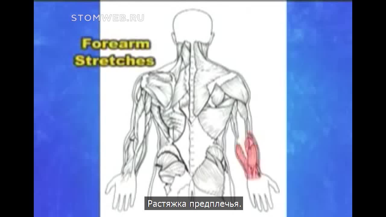Школа стоматолога. Обучающие видео