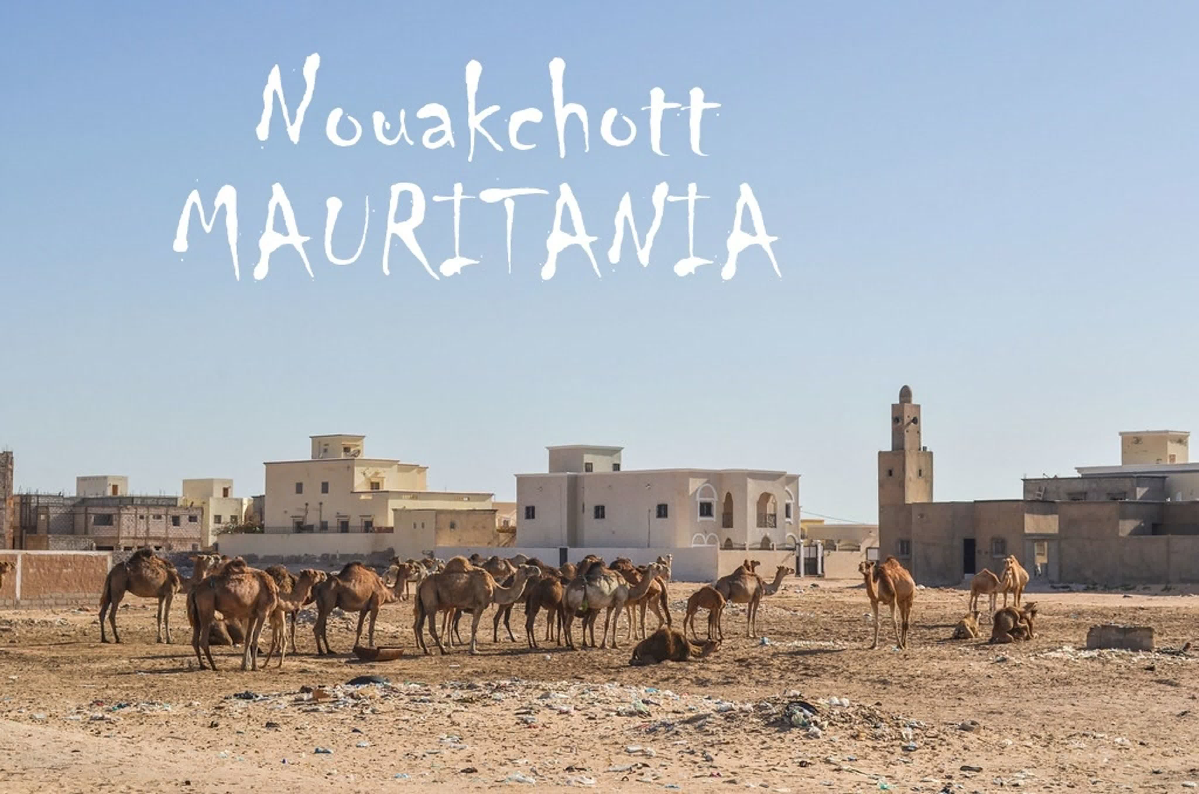 #41 Mauritania (Nouakchott)