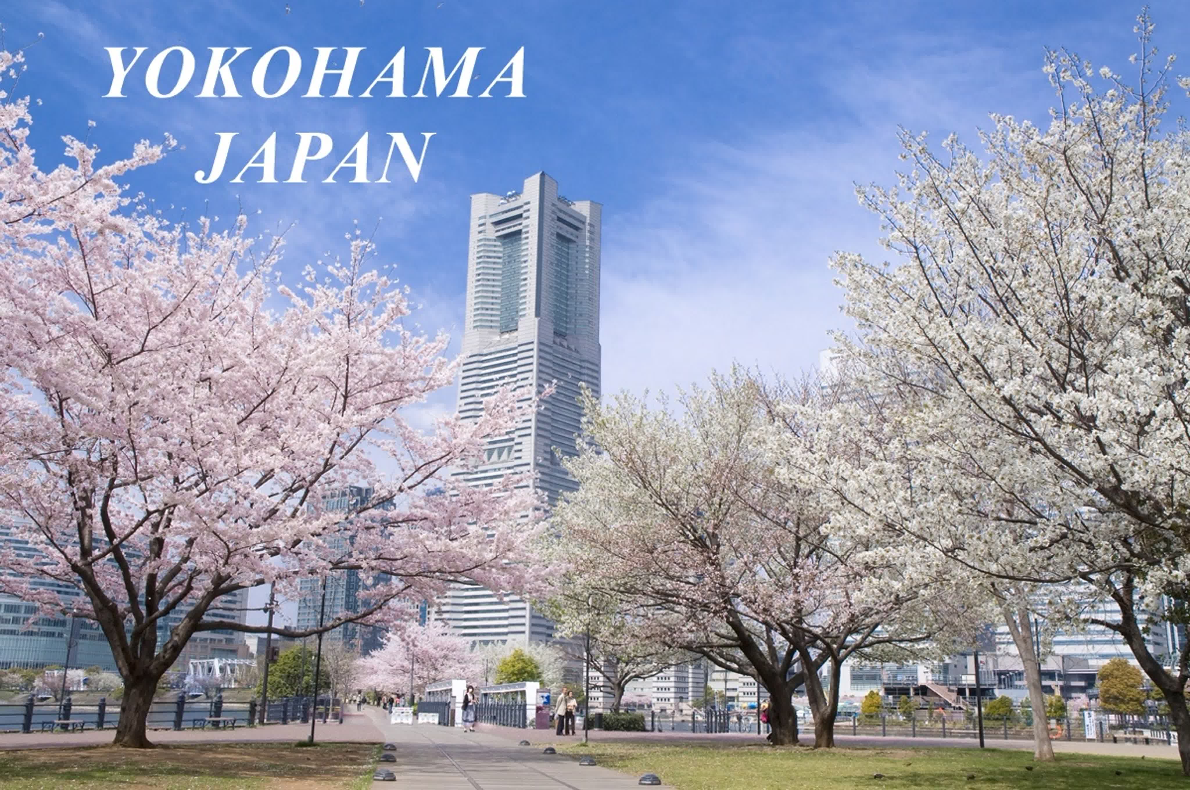 #11 Japan (Yokohama)