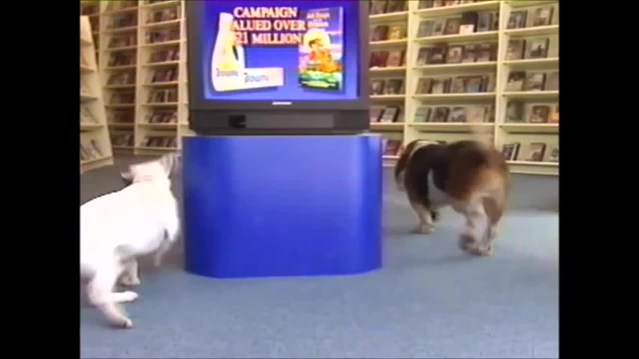 All my MGM VHS Openings