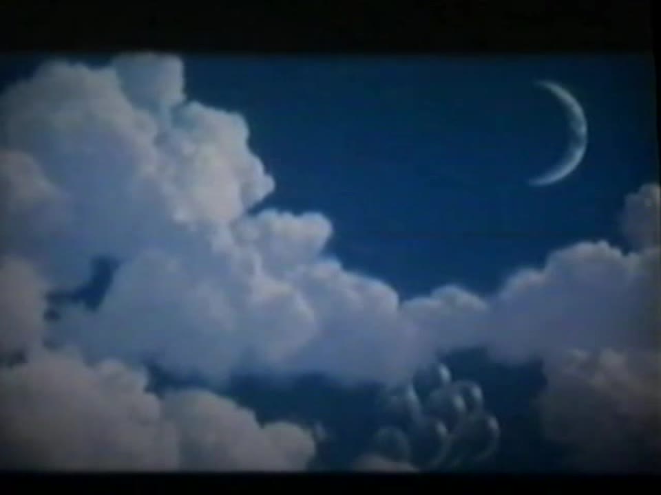 All my Bootleg VHS Openings