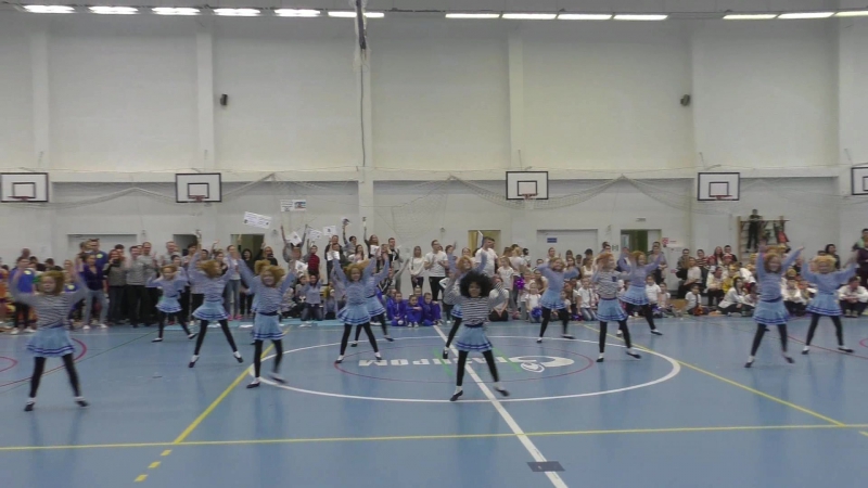 Вперёд, к вершинам спорта! Спартакиада 12.11.2017