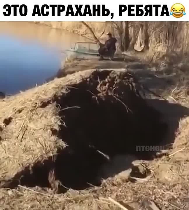 Природные явления