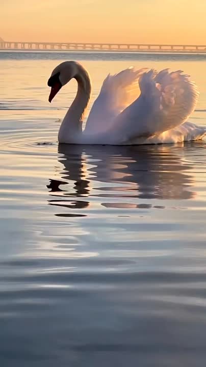 Все животные Крыма