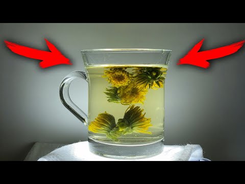 Полевые цветы-Великоросы!