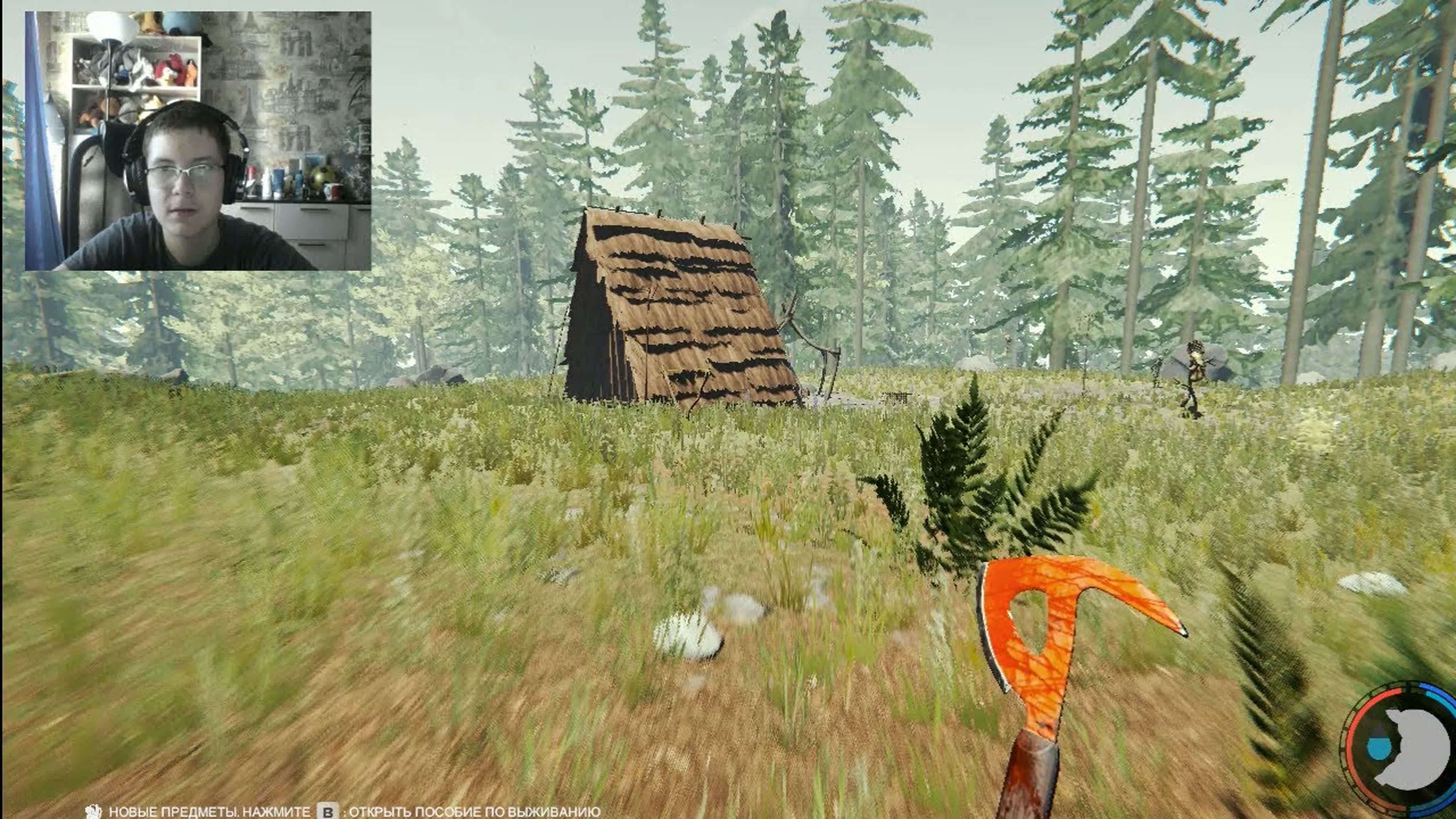 THE FOREST