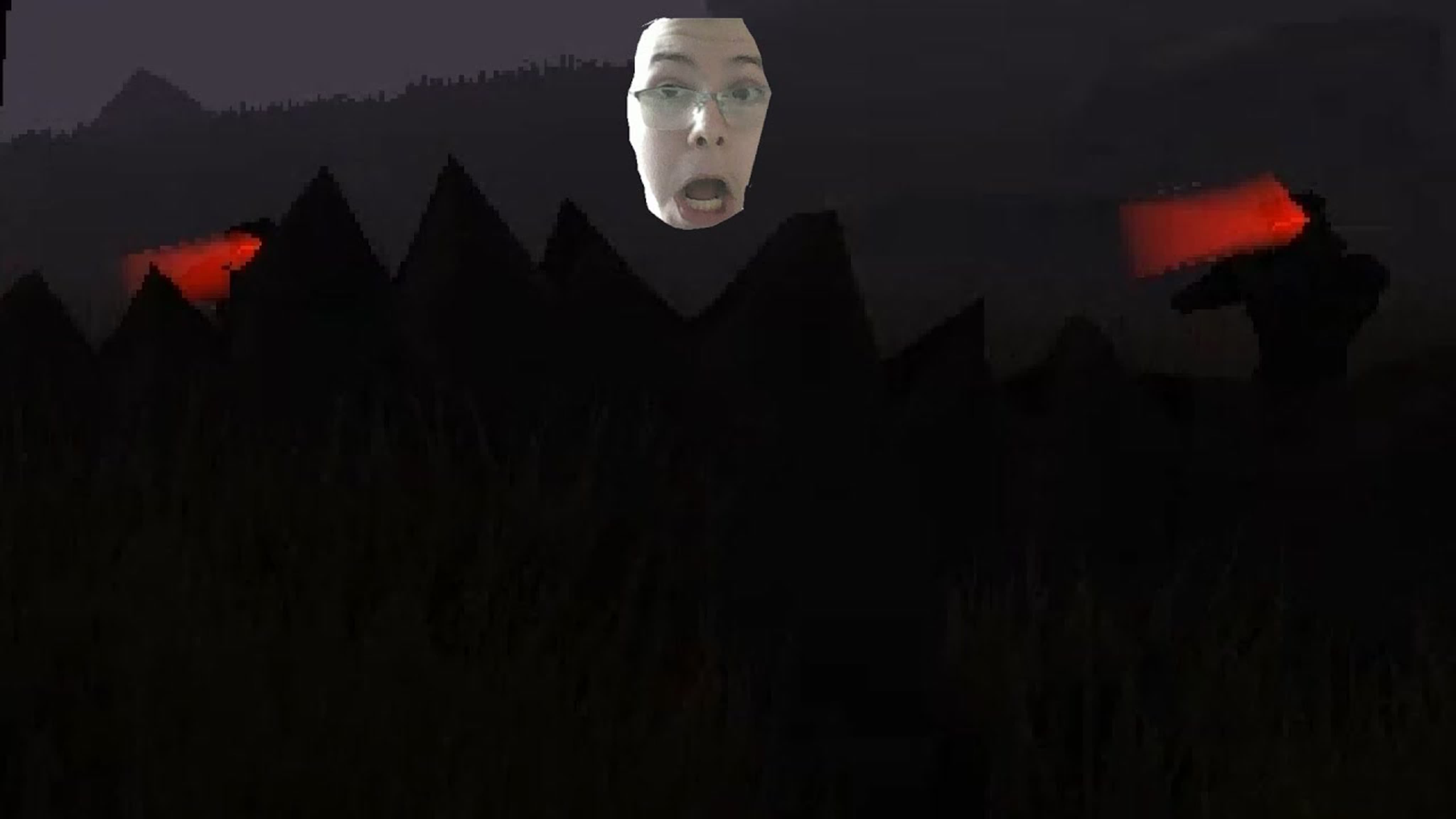 SIR YOU ARE BEING HUNTED