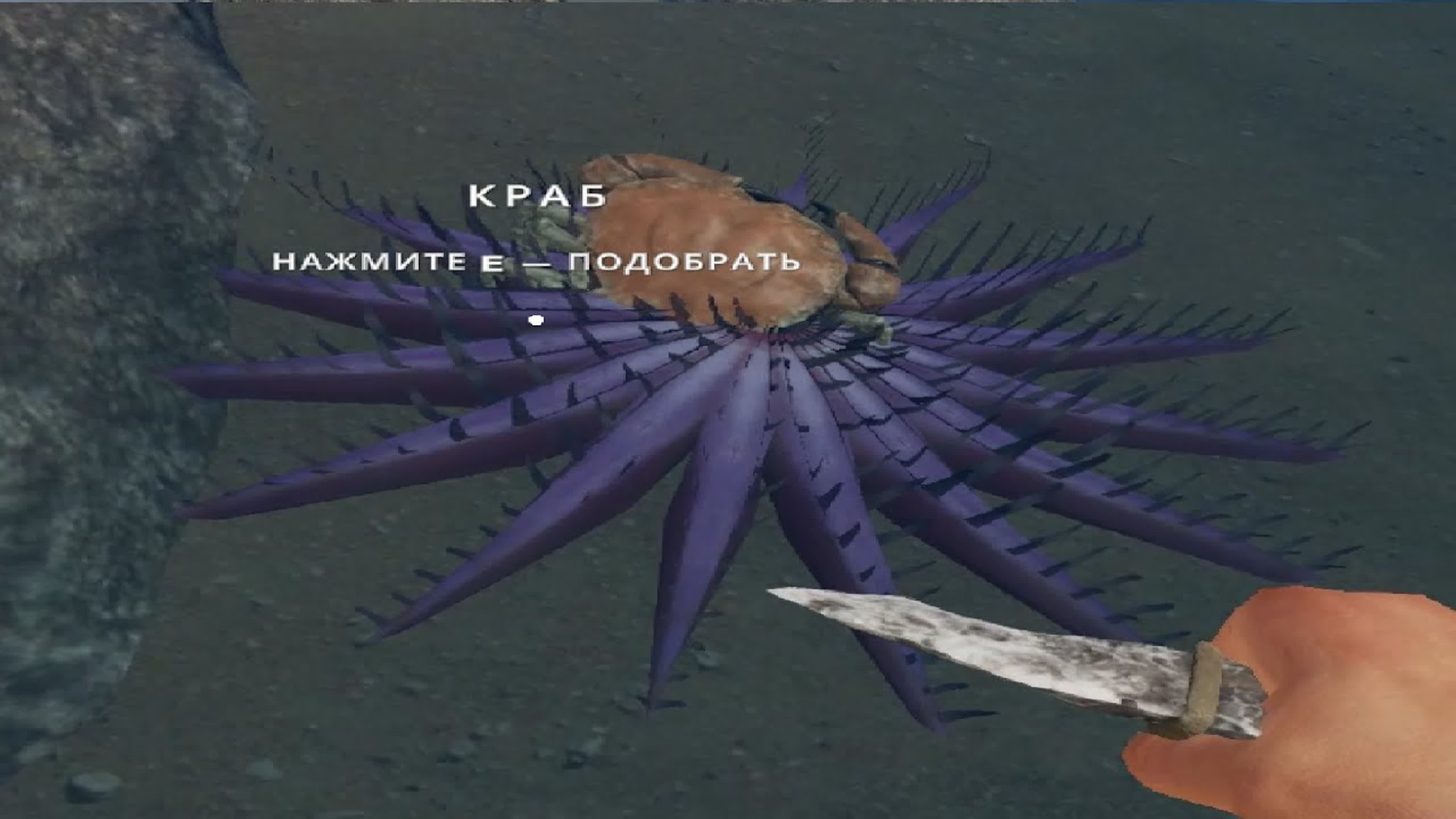 STRANDED DEEP
