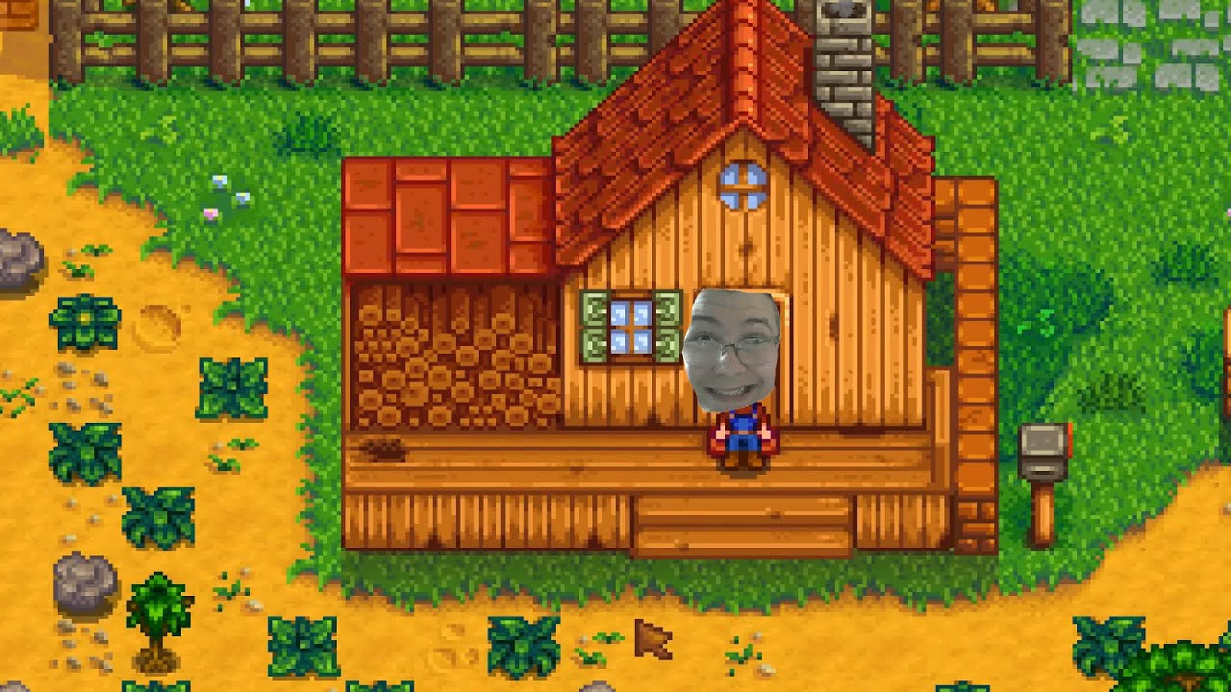STARDEW VALLEY
